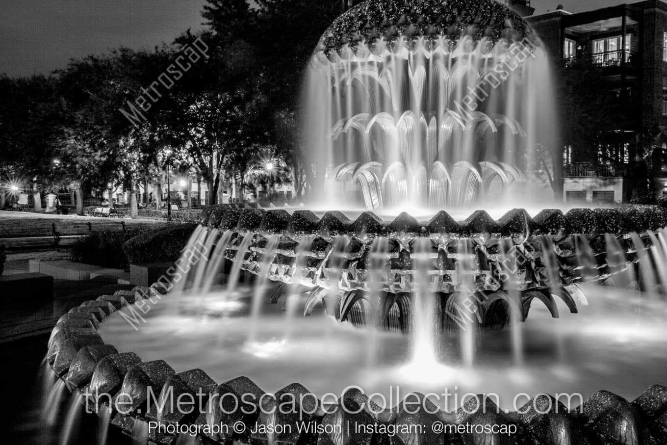 Charleston South Carolina Picture at Night