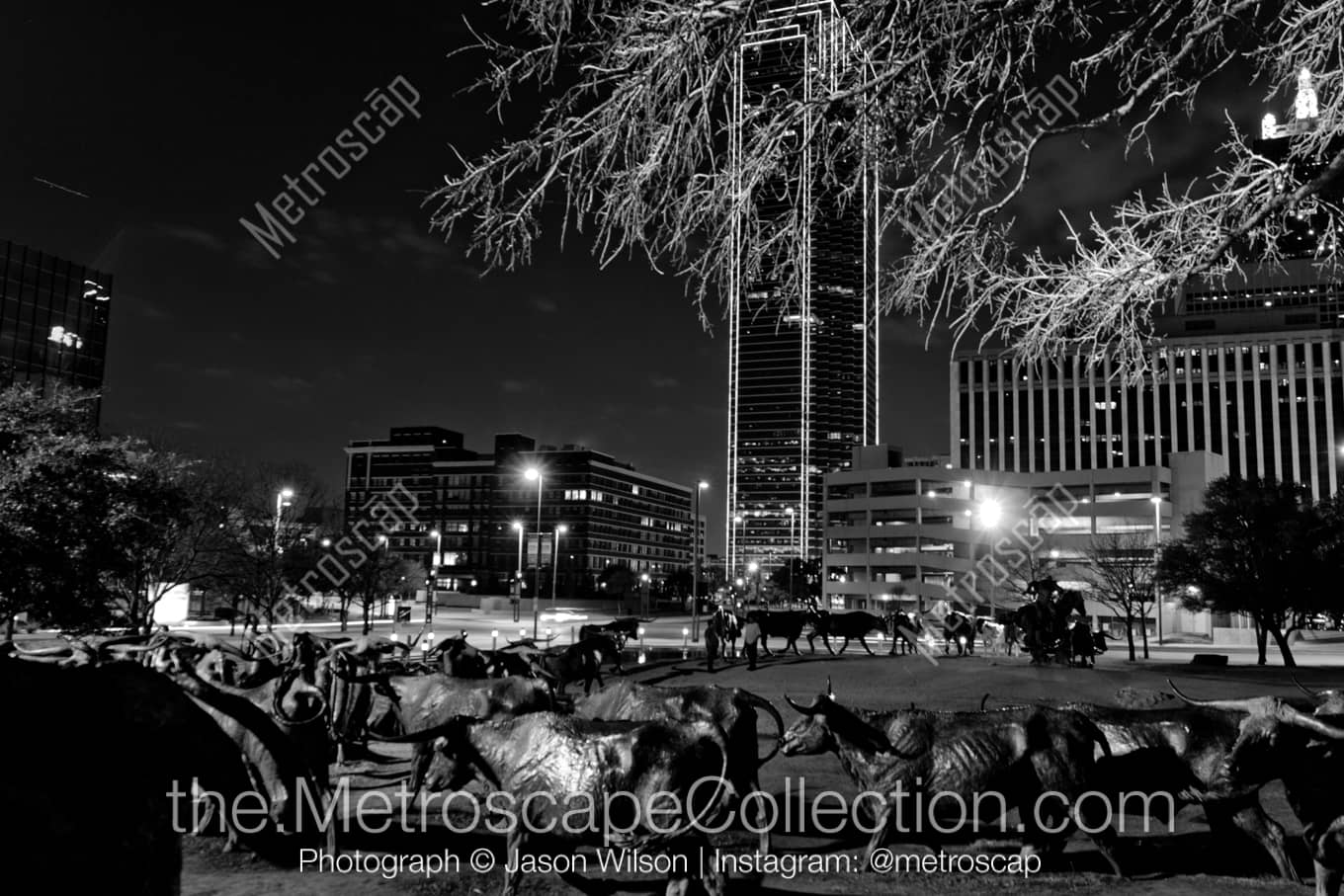 Dallas Texas Picture at Night