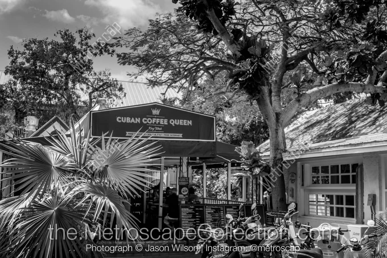 Key West Florida Picture at Night