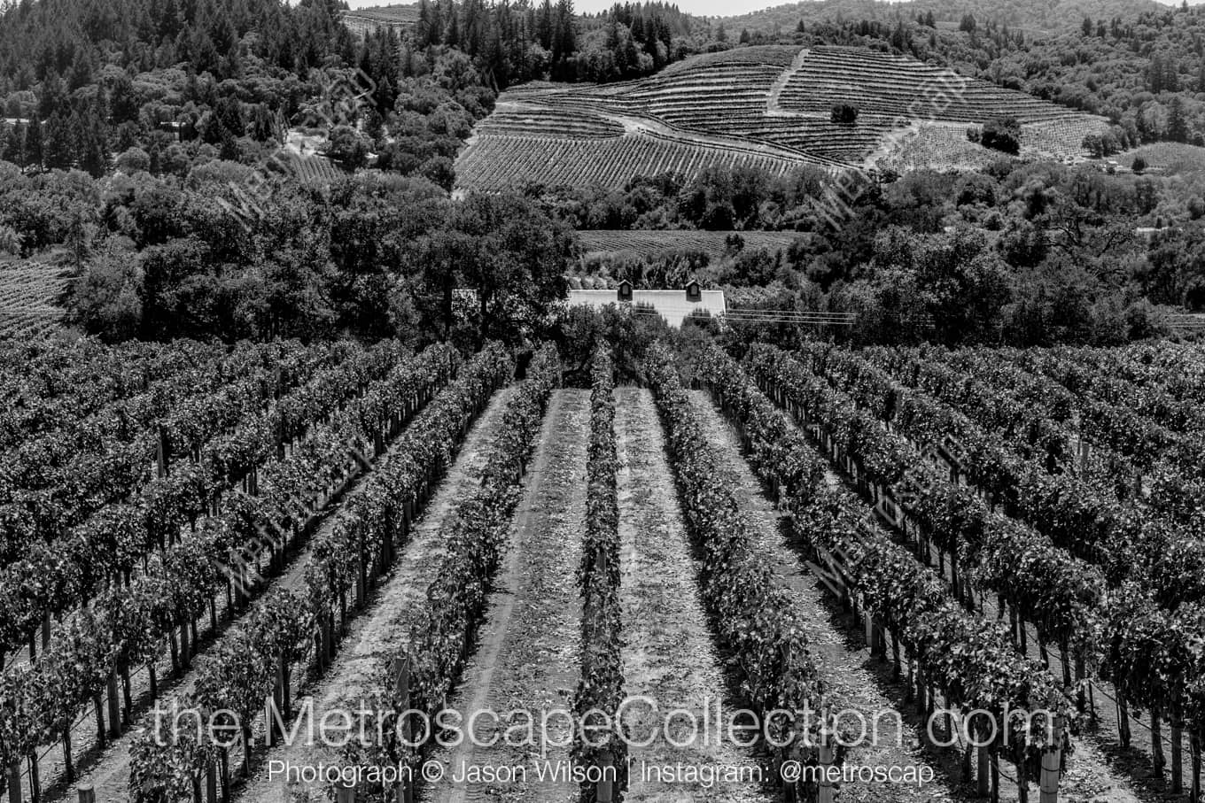 Napa-Valley California Picture at Night