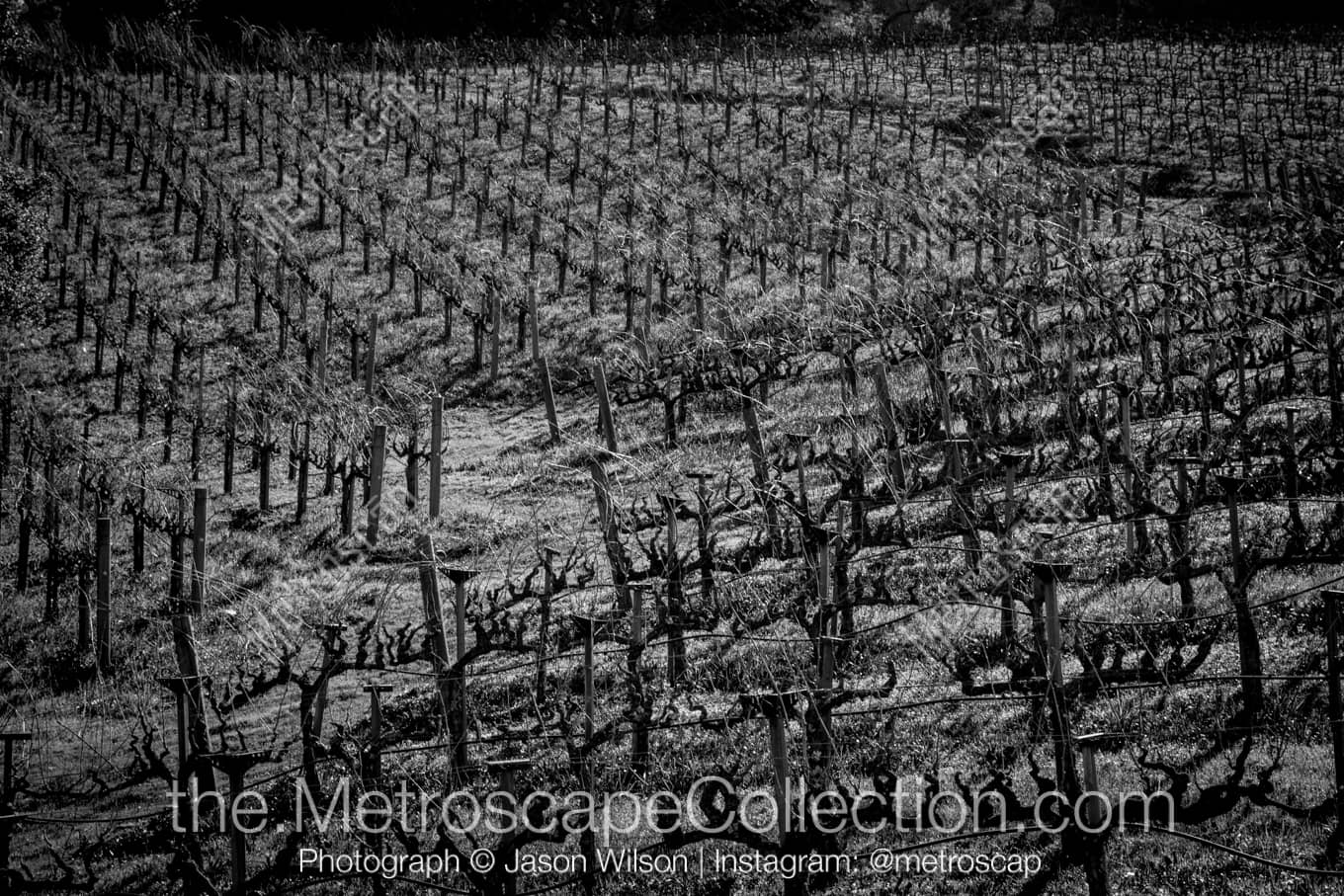 Napa-Valley California Picture at Night