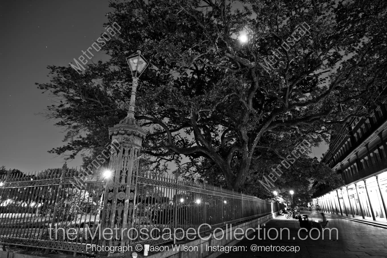 New Orleans Louisiana Picture at Night