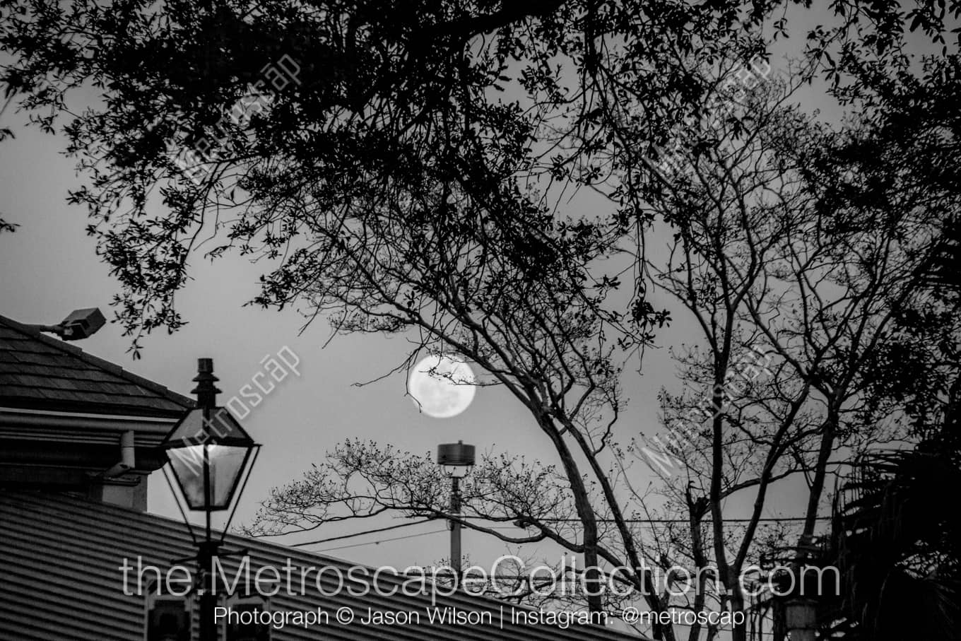 New Orleans Louisiana Picture at Night