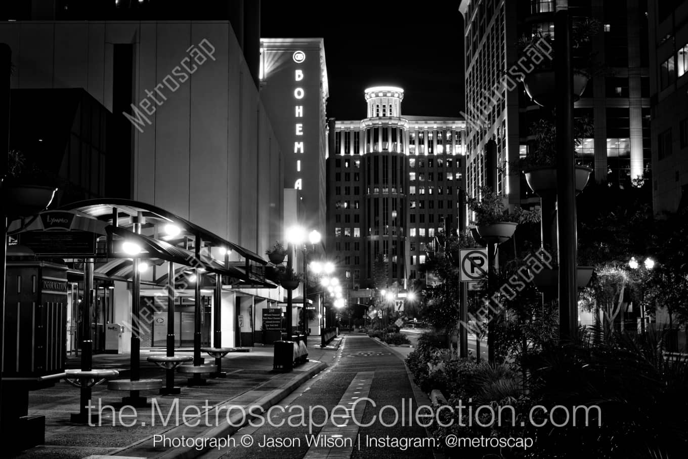 Orlando Florida Picture at Night