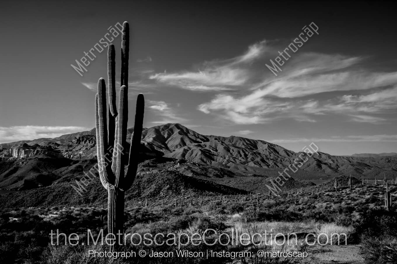 Phoenix Arizona Picture at Night