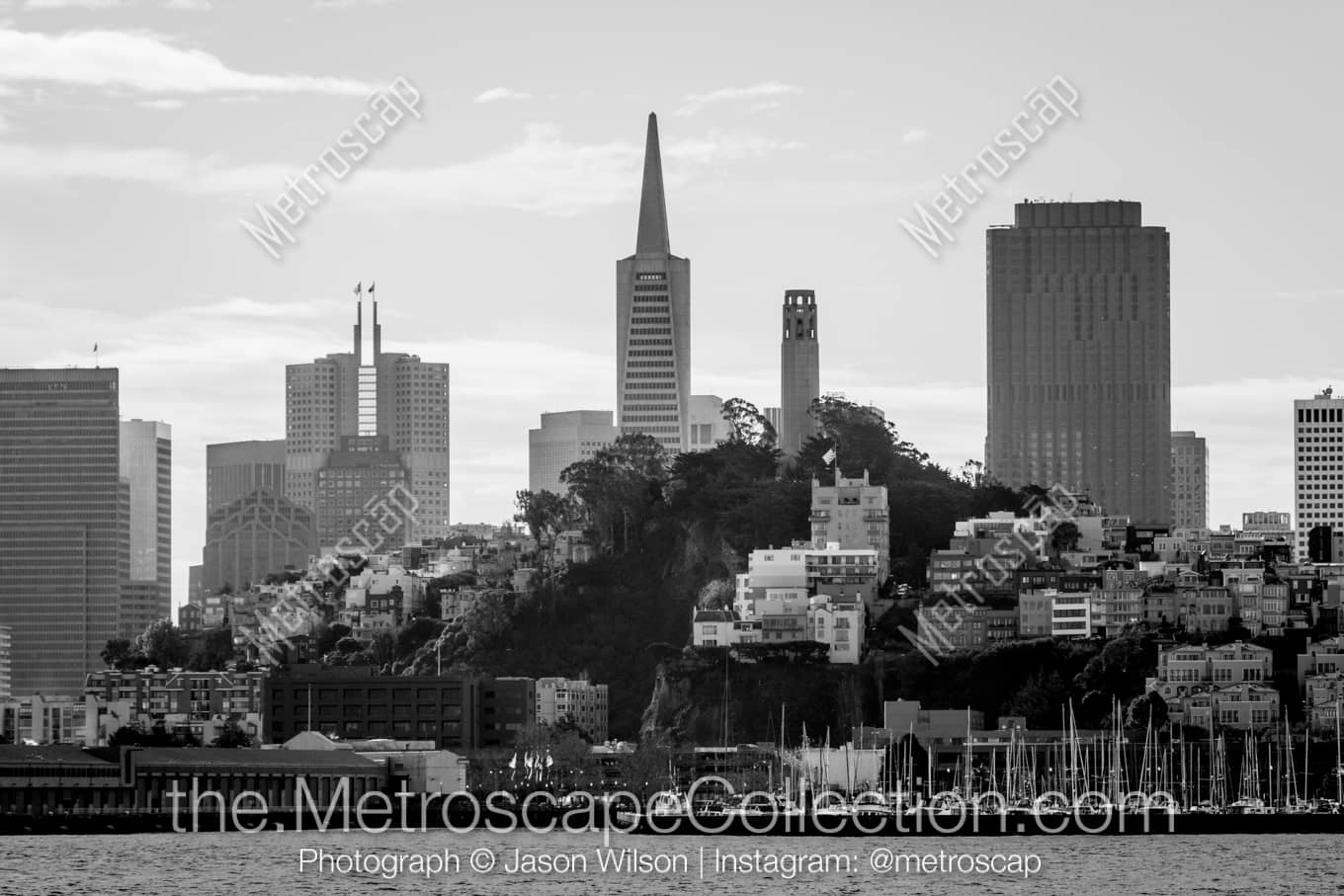 San Francisco California Picture at Night