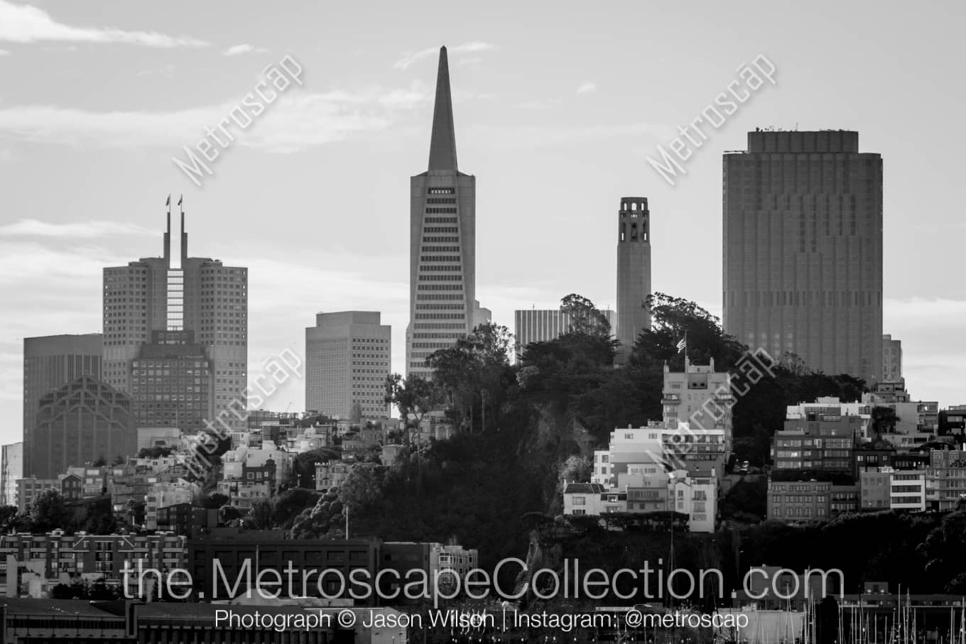 San Francisco California Picture at Night