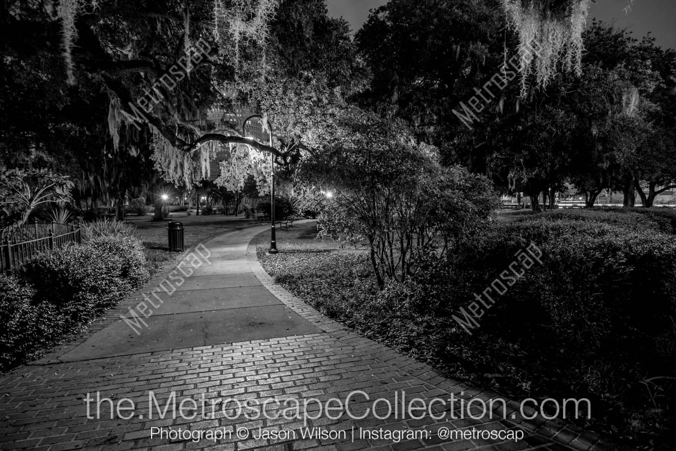 Tampa Florida Picture at Night