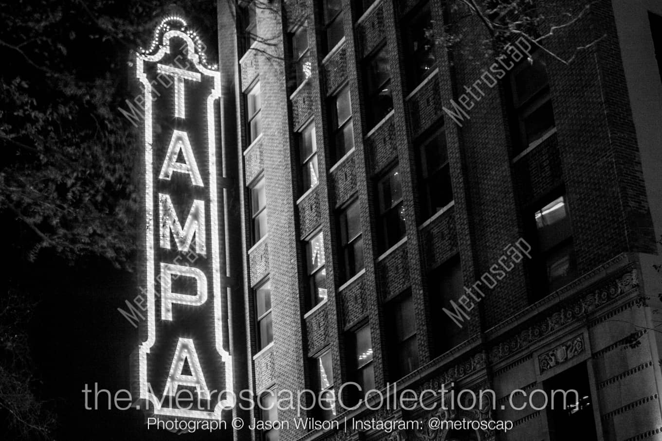 Tampa Florida Picture at Night