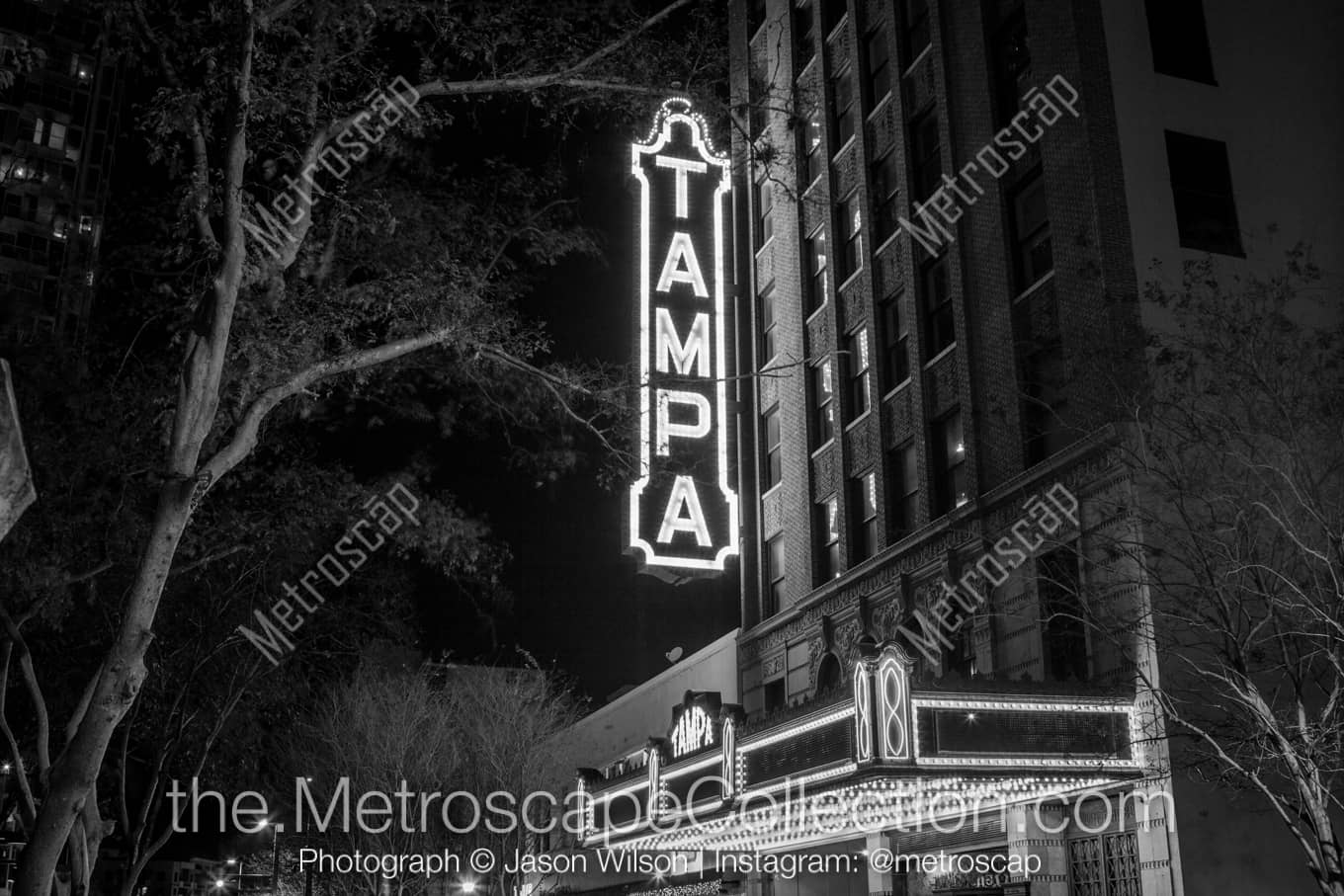 Tampa Florida Picture at Night